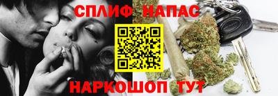 СК Вязьма