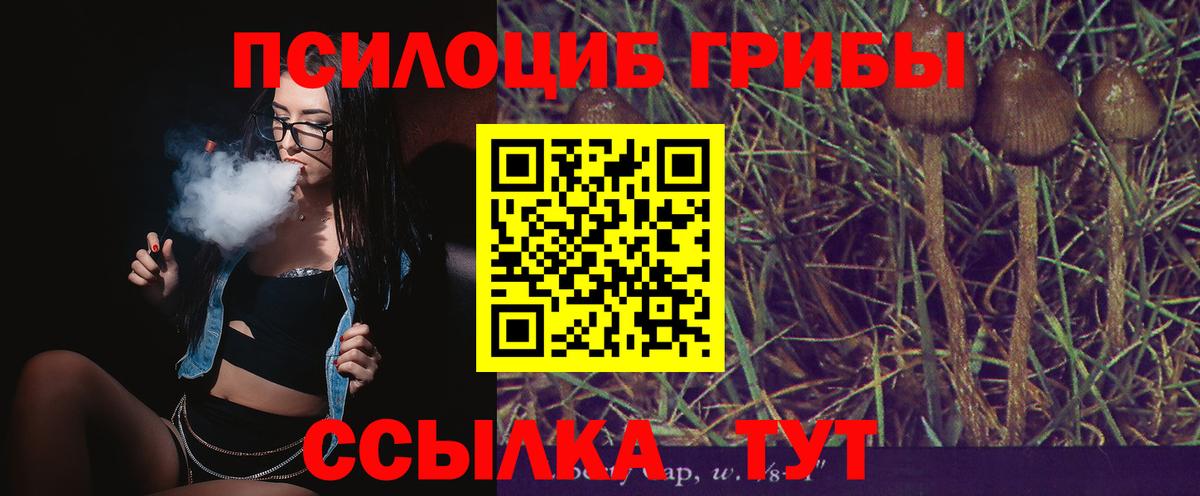 Рузаевка  Псилоцибиновые грибы GOLDEN TEACHER  Вход с VPN 