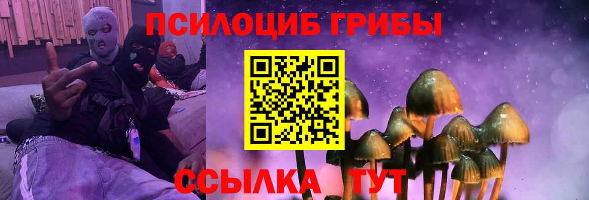 Галлюциногенные грибы GOLDEN TEACHER Рузаевка